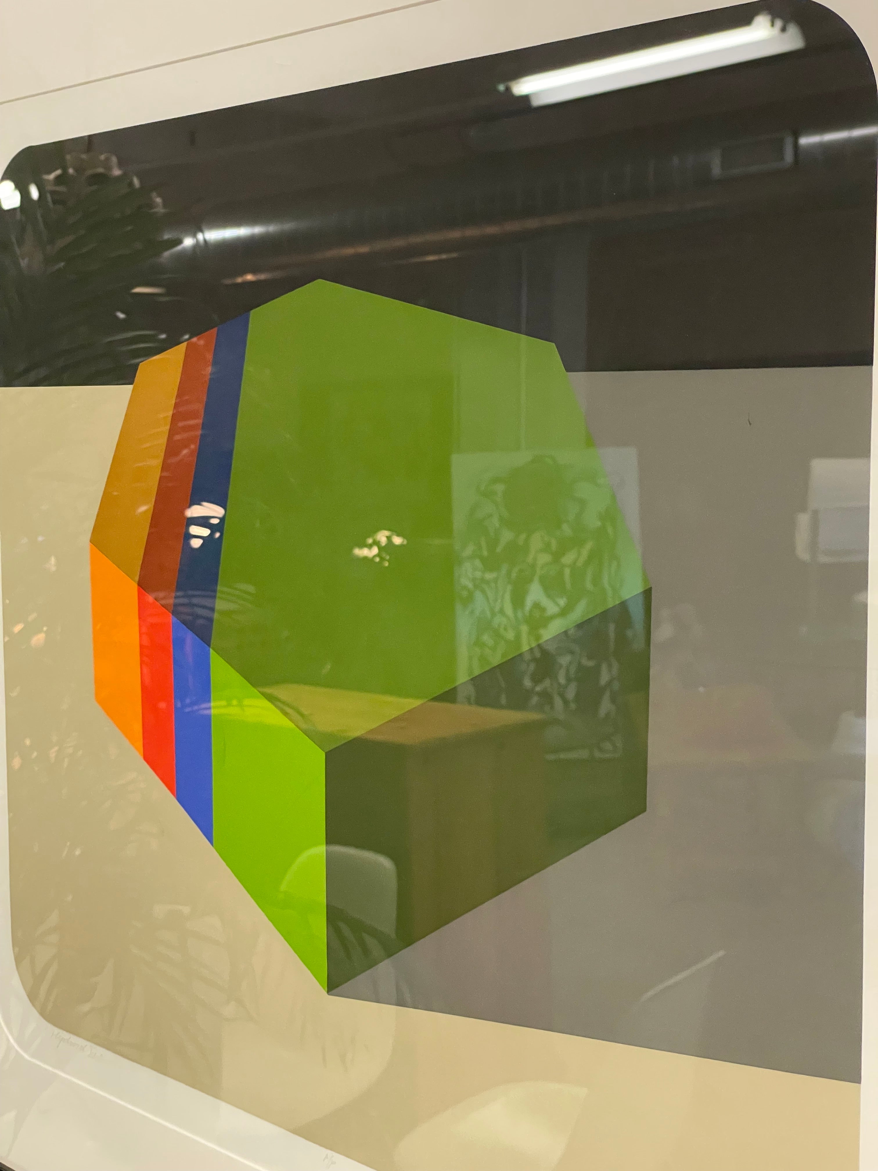 Marko Spalatin “Hydroid VI”